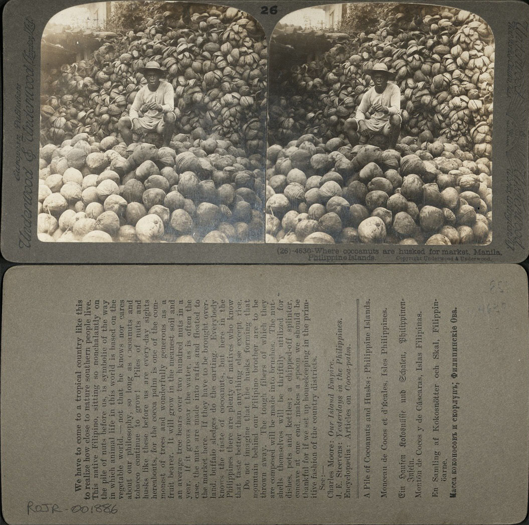 Where cocoanuts [coconuts] are husked for market, Manila, Philippine Islands.